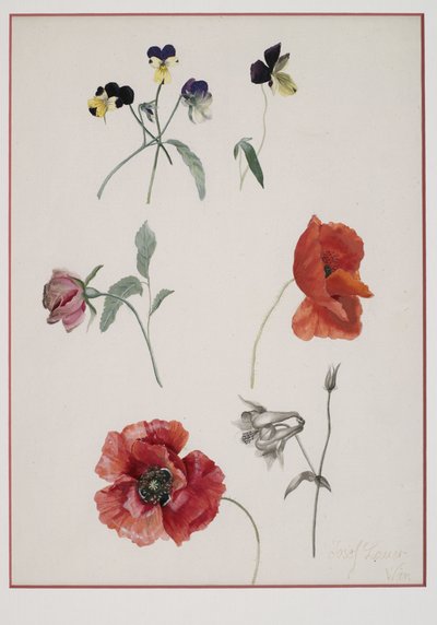 زهور بواسطة جوزيف لوير